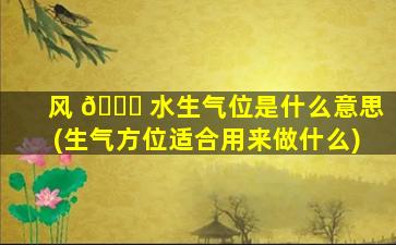 风 🐛 水生气位是什么意思(生气方位适合用来做什么)